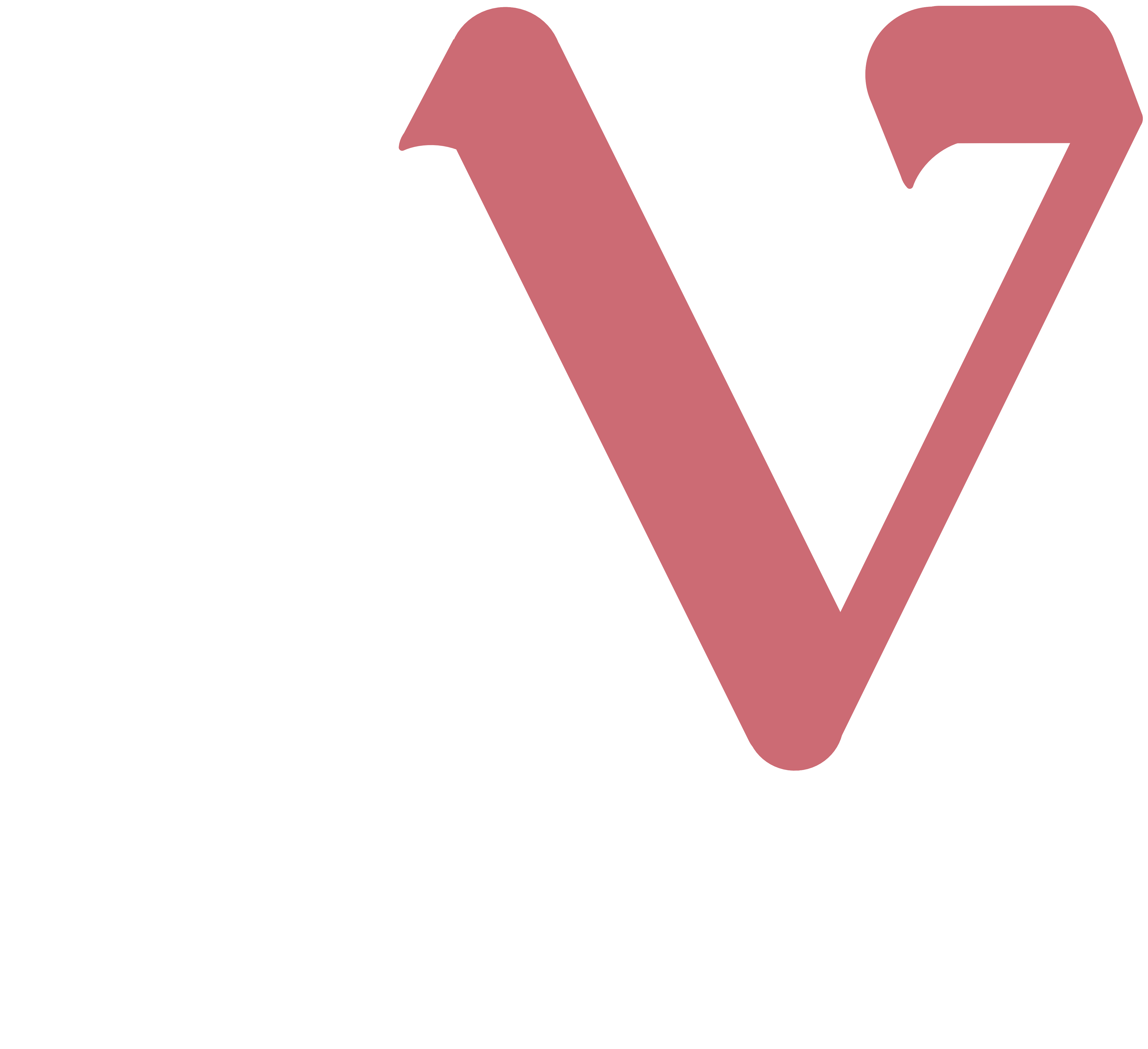 Agent-V